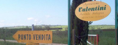 ordina carne bovina locale online